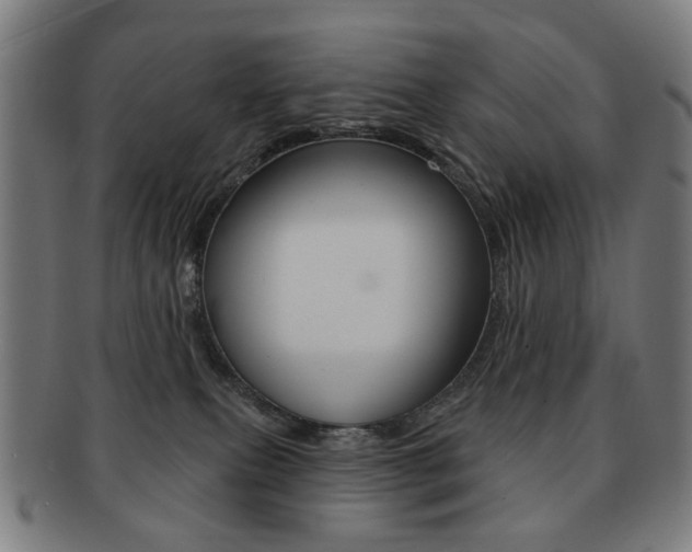 X0000091890087200709051052