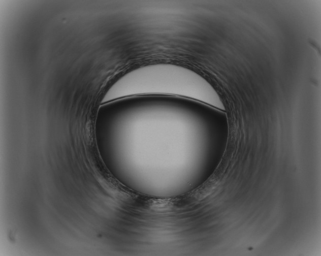 X0000091890088200709051053