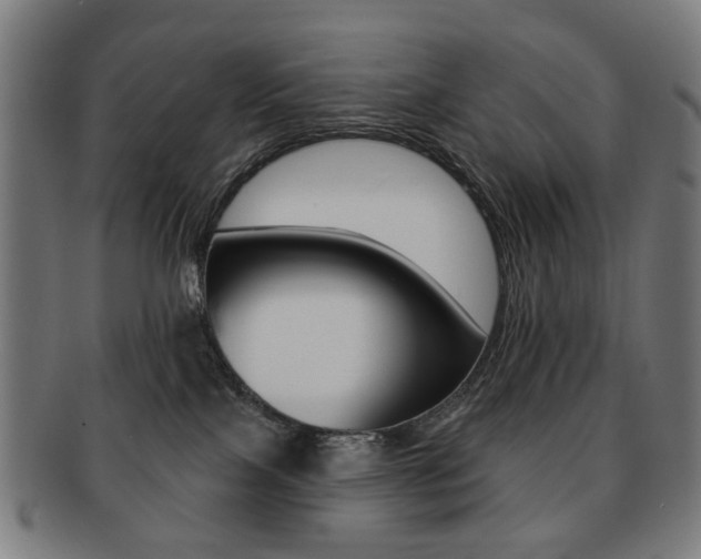 X0000091890089200709051053