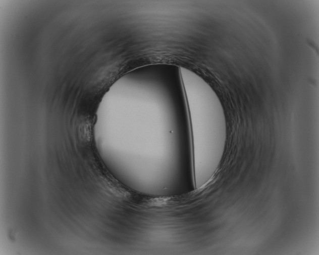 X0000091890090200709051053