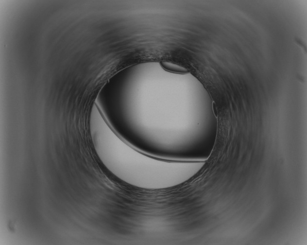 X0000091890091200709051053
