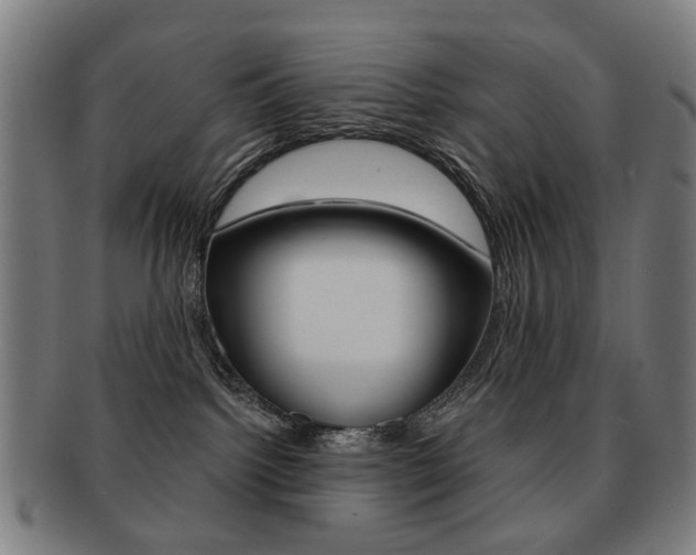 X0000091890092200709051053