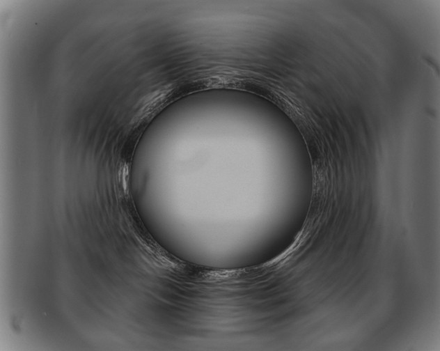 X0000091890094200709051053