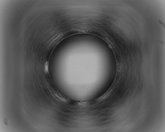 X0000091890095200709051053