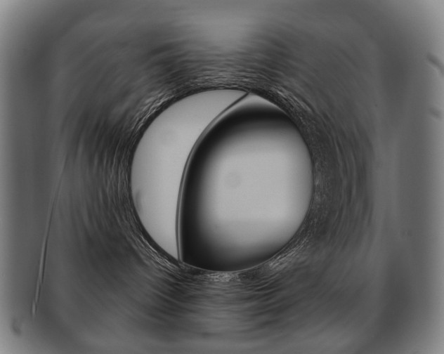 X0000091890096200709051053
