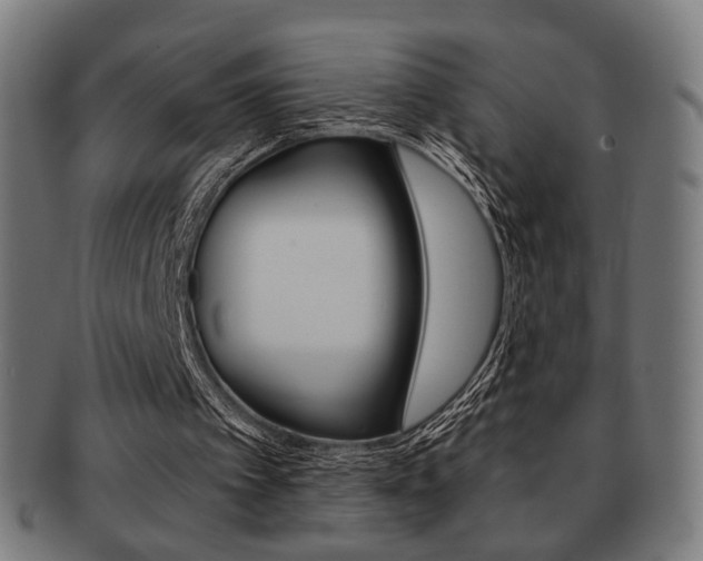 X0000091890097200709051052