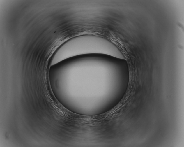 X0000091890098200709051052