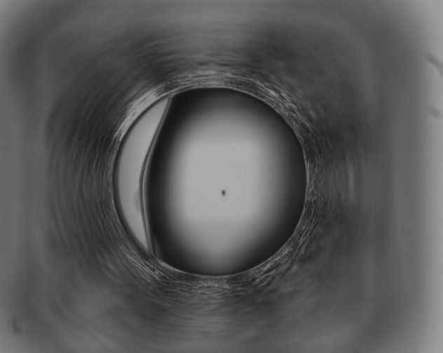 X0000091890099200709051052