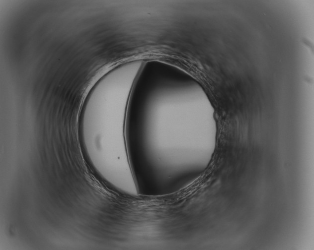 X0000091890100200709051052