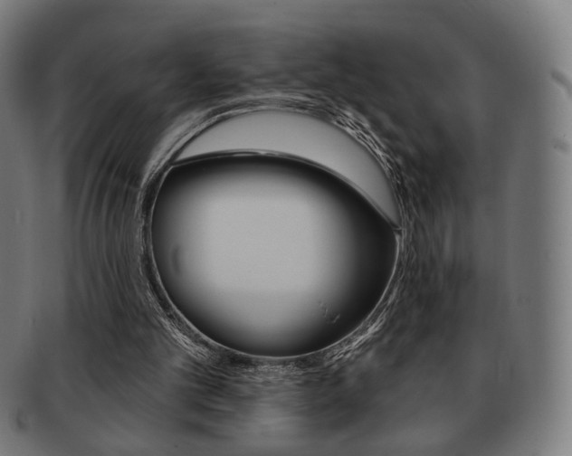 X0000091890101200709051052