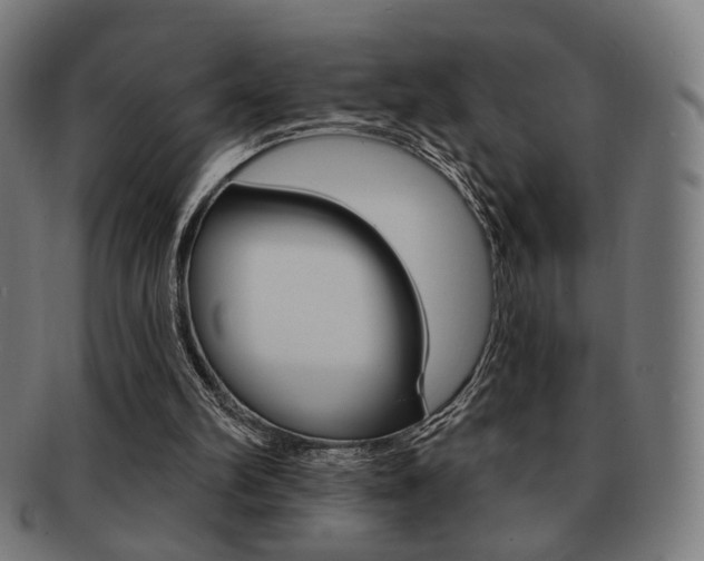 X0000091890102200709051052