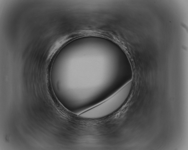 X0000091890103200709051052