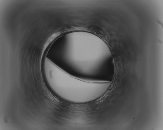 X0000091890104200709051052