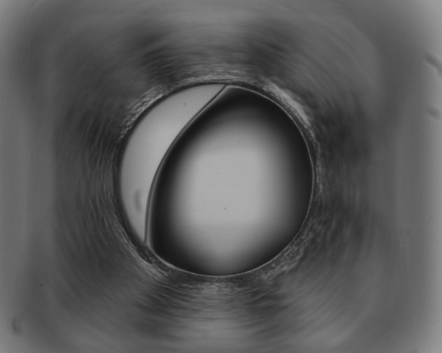 X0000091890105200709051052