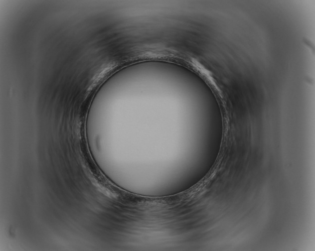 X0000091890106200709051052
