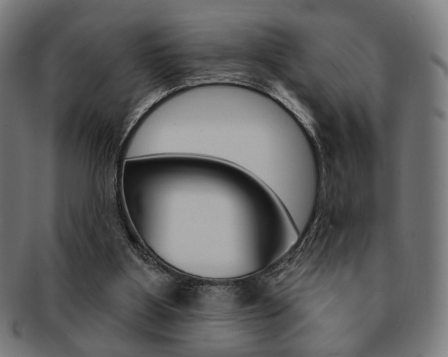 X0000091890107200709051052