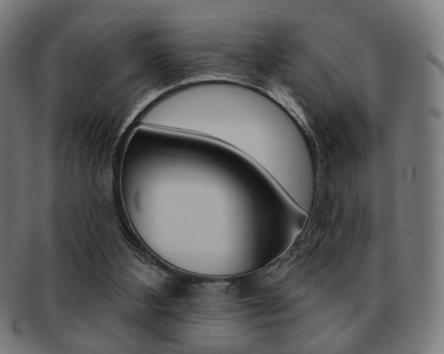 X0000091890108200709051052