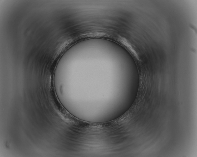 X0000091890110200709051052