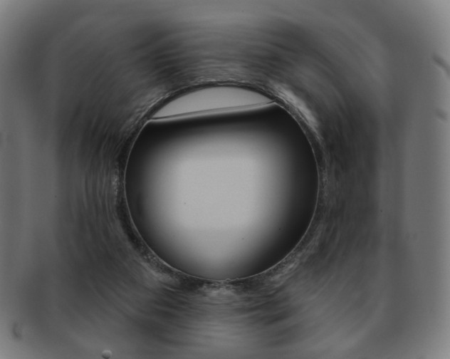 X0000091890113200709051052