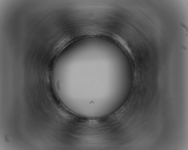 X0000091890114200709051052