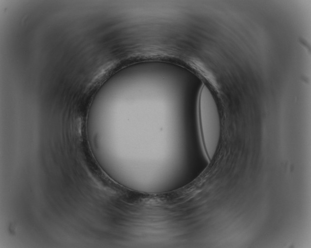 X0000091890115200709051052
