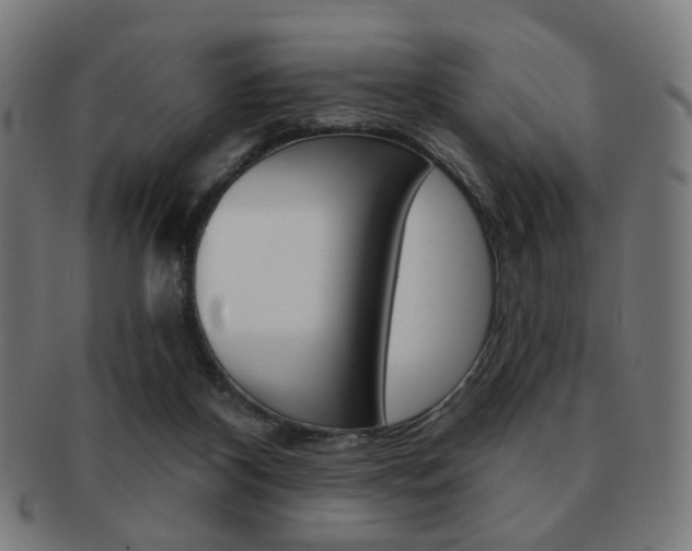 X0000091890116200709051052