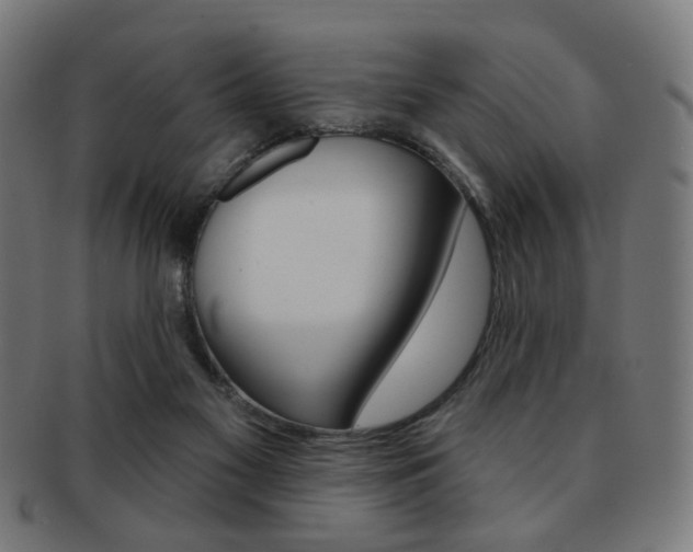 X0000091890117200709051052