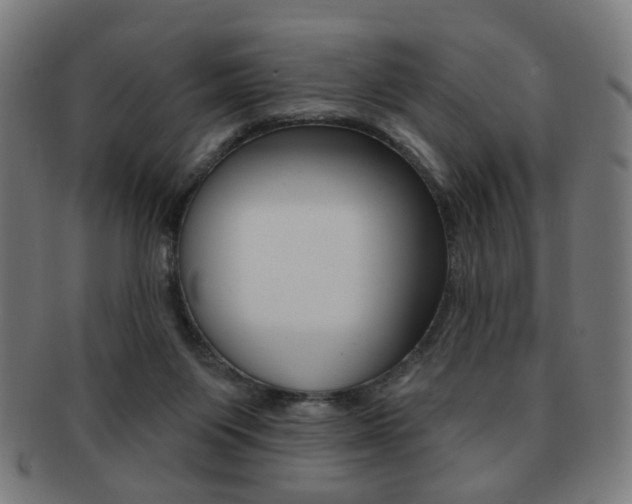 X0000091890119200709051052