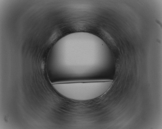X0000091890124200709051052