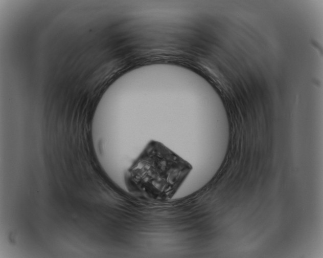 X0000091890125200709051052
