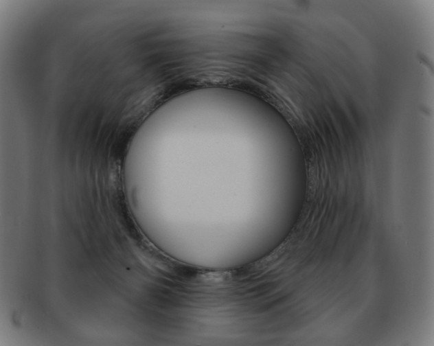 X0000091890126200709051052