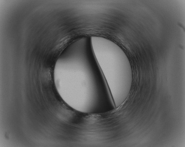 X0000091890128200709051052