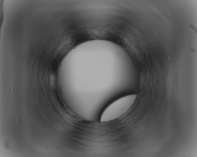 X0000091890130200709051052