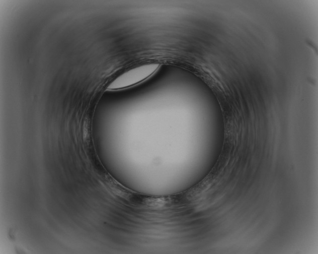 X0000091890131200709051052