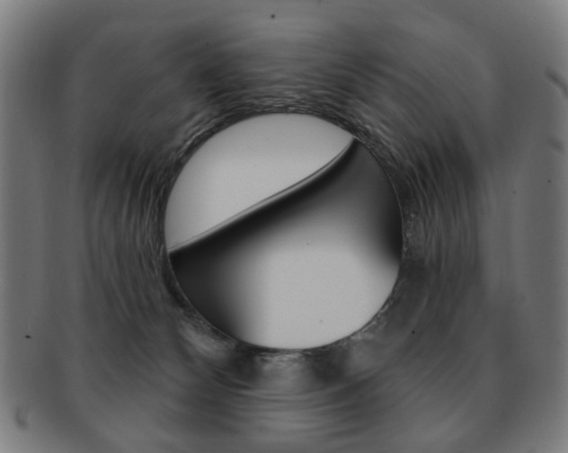 X0000091890132200709051052