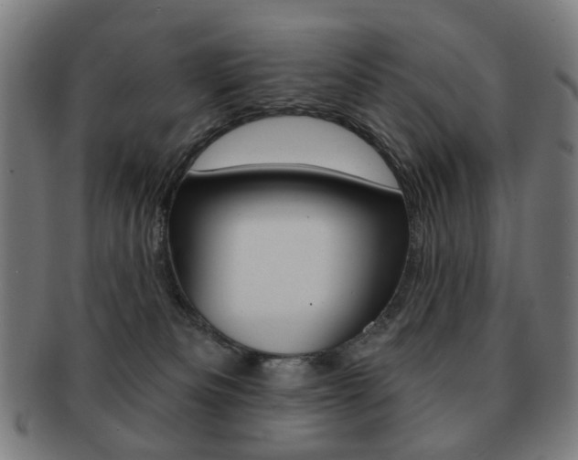 X0000091890133200709051052