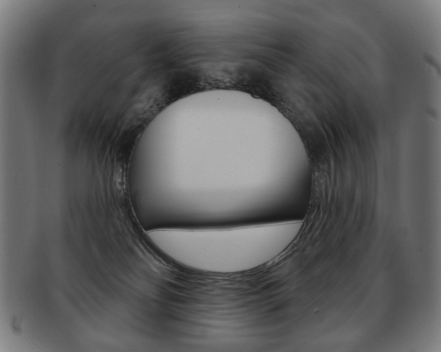 X0000091890134200709051052