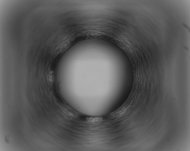 X0000091890135200709051052