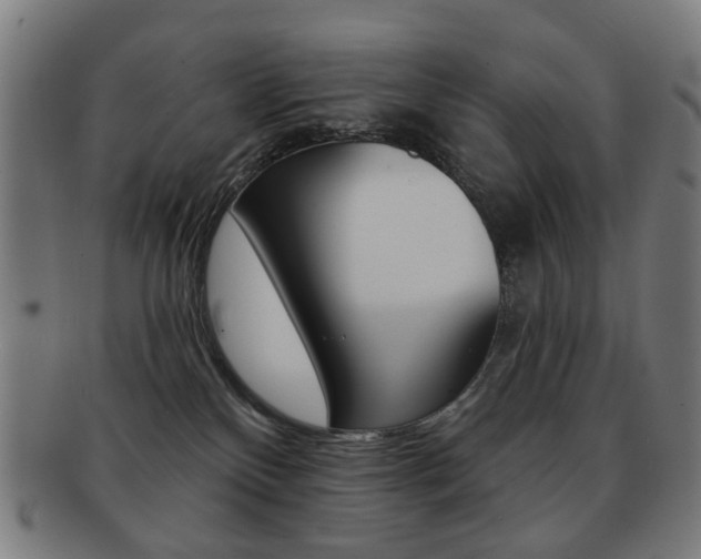 X0000091890136200709051052