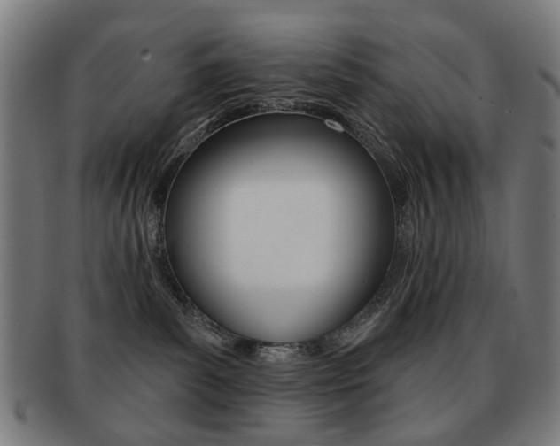 X0000091890139200709051052