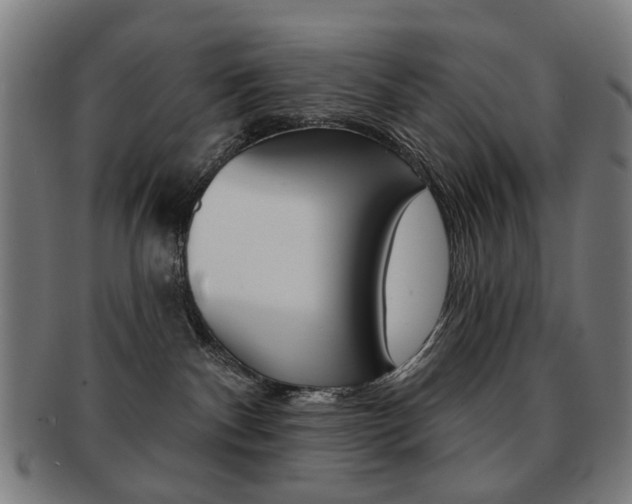 X0000091890140200709051052