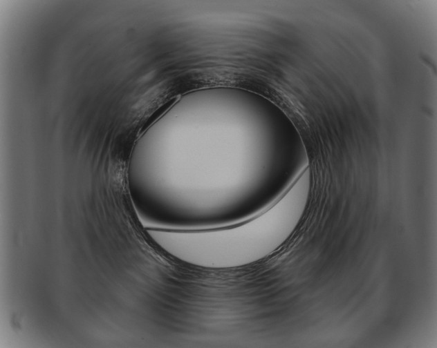 X0000091890141200709051052
