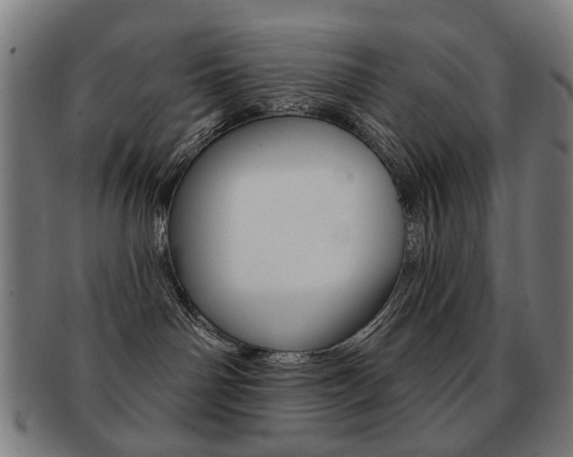 X0000091890142200709051052
