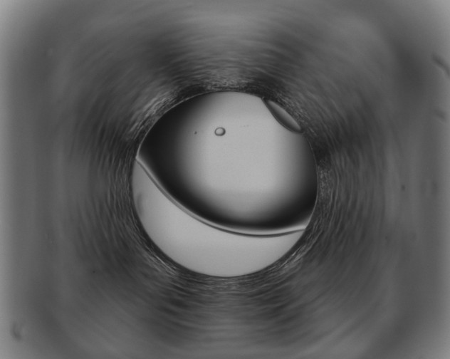 X0000091890143200709051051