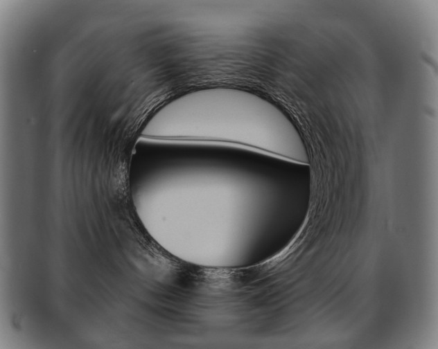 X0000091890144200709051051