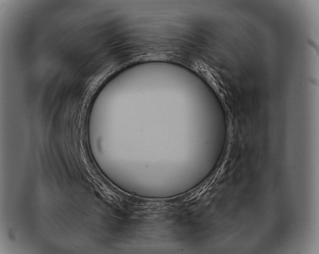 X0000091890145200709051051