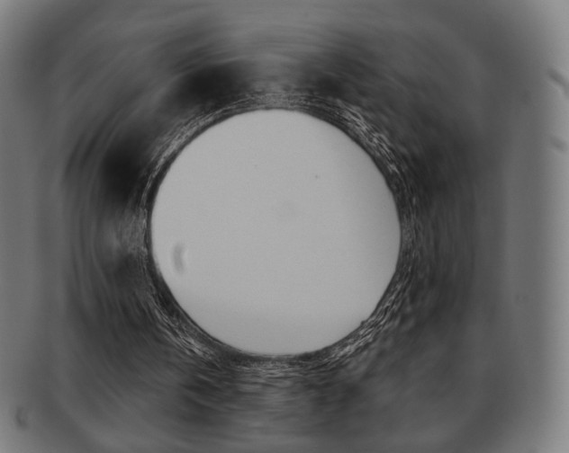 X0000091890146200709051051