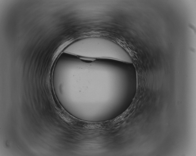 X0000091890147200709051051