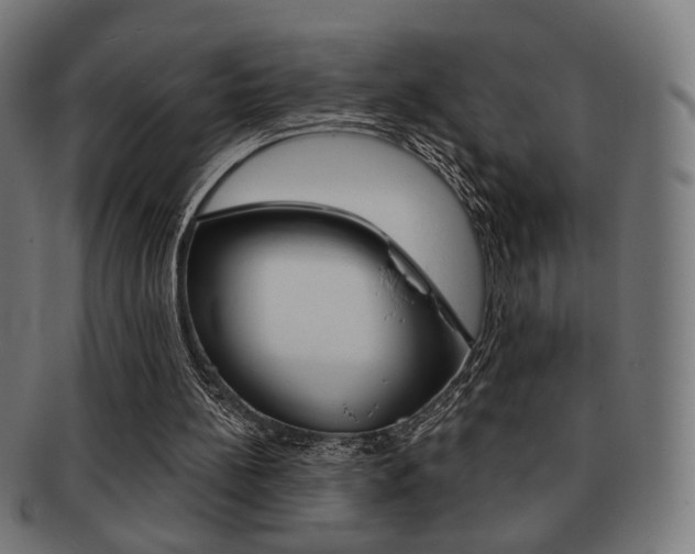 X0000091890148200709051051