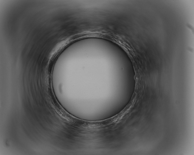 X0000091890149200709051051